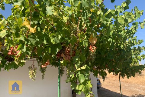 Cortijo i Cebas, Granada, Cebas - € 85.000 | Ref: cs2185 - foto 37
